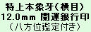 銀12mm